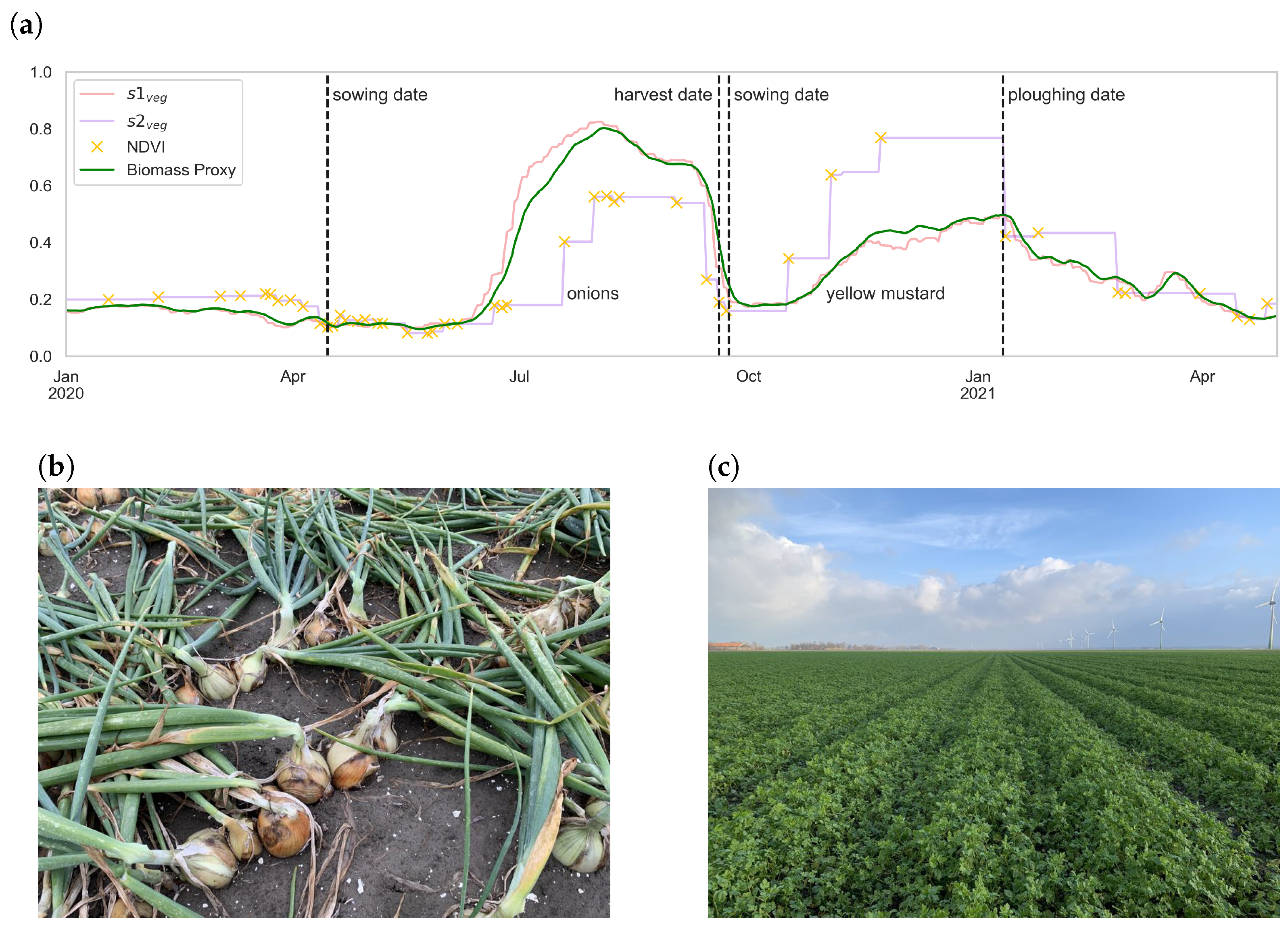 Remotesensing 16 00835 g011