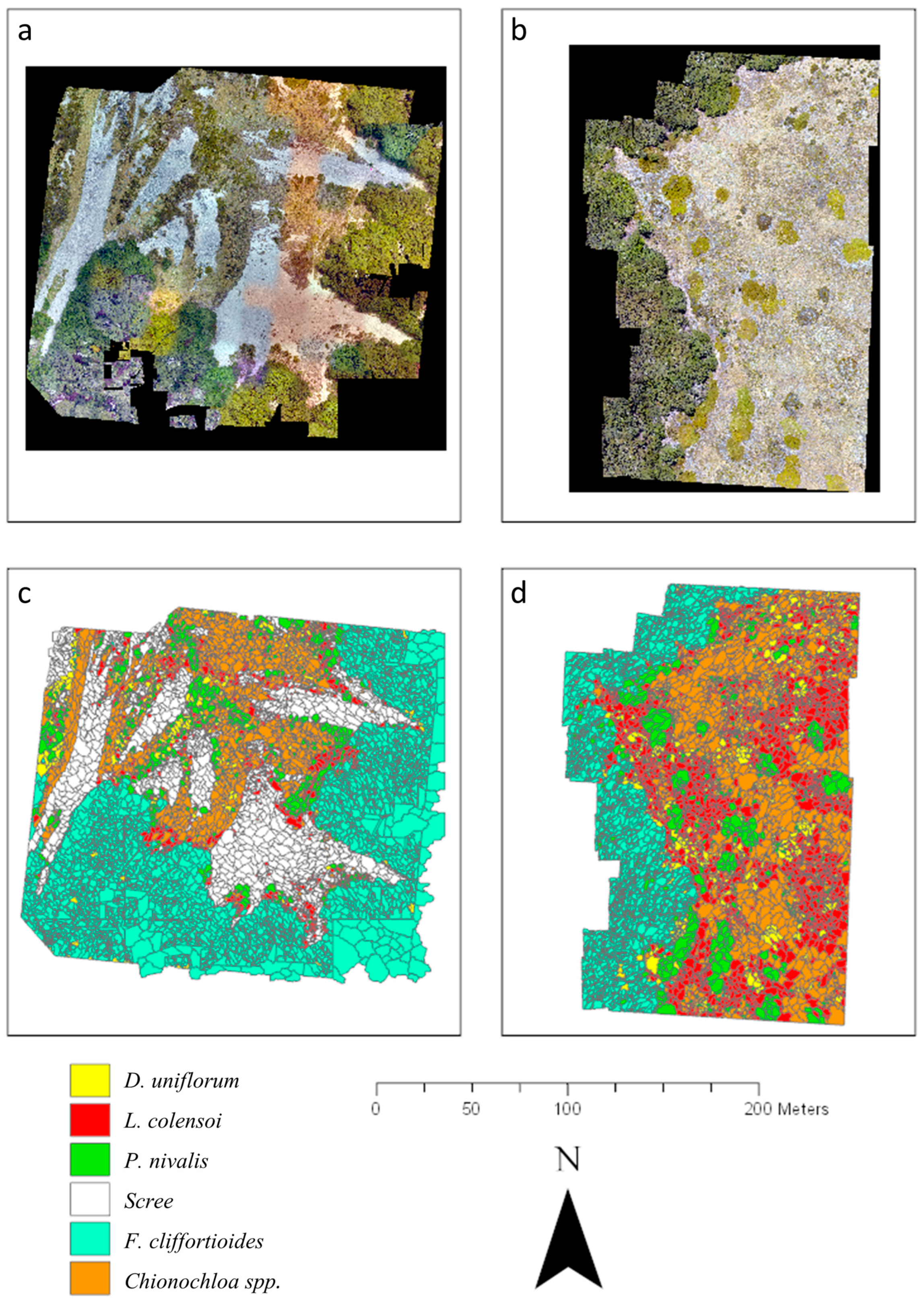 Remotesensing 16 00840 g006