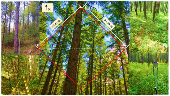 Remotesensing 16 00846 g0a2
