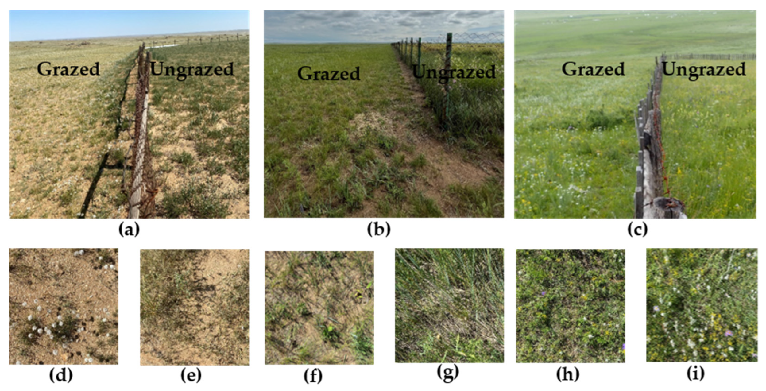 Remotesensing 16 00869 g003