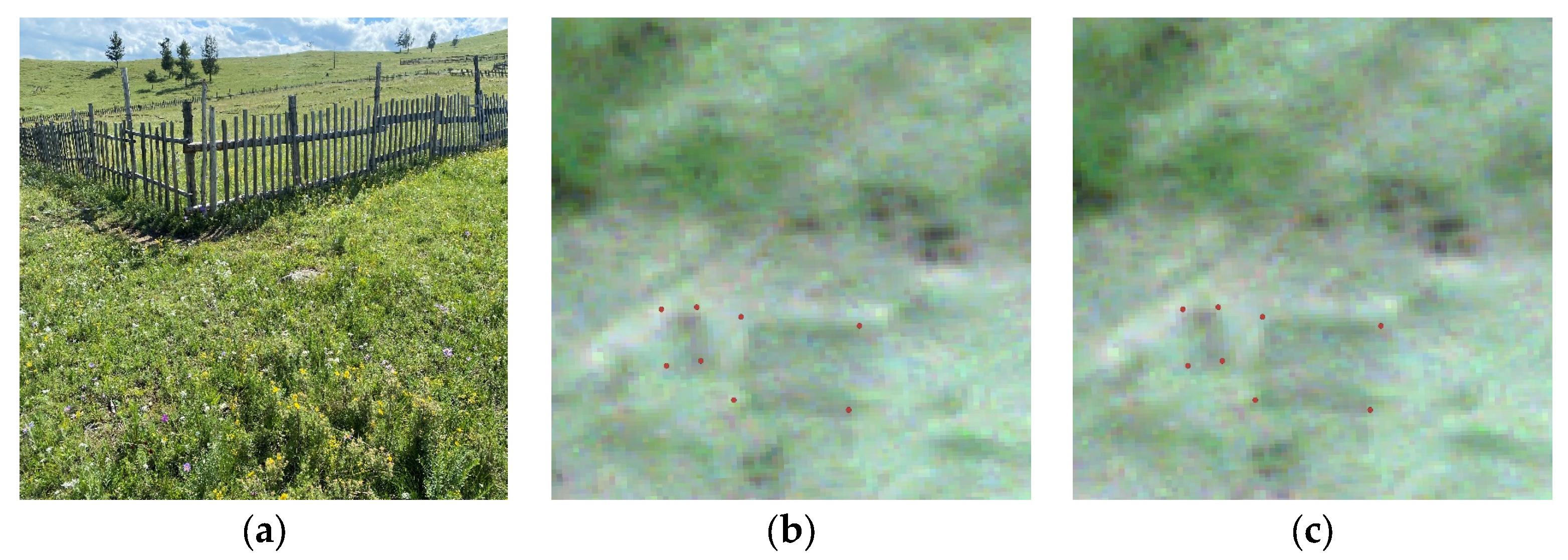 Remotesensing 16 00869 g008