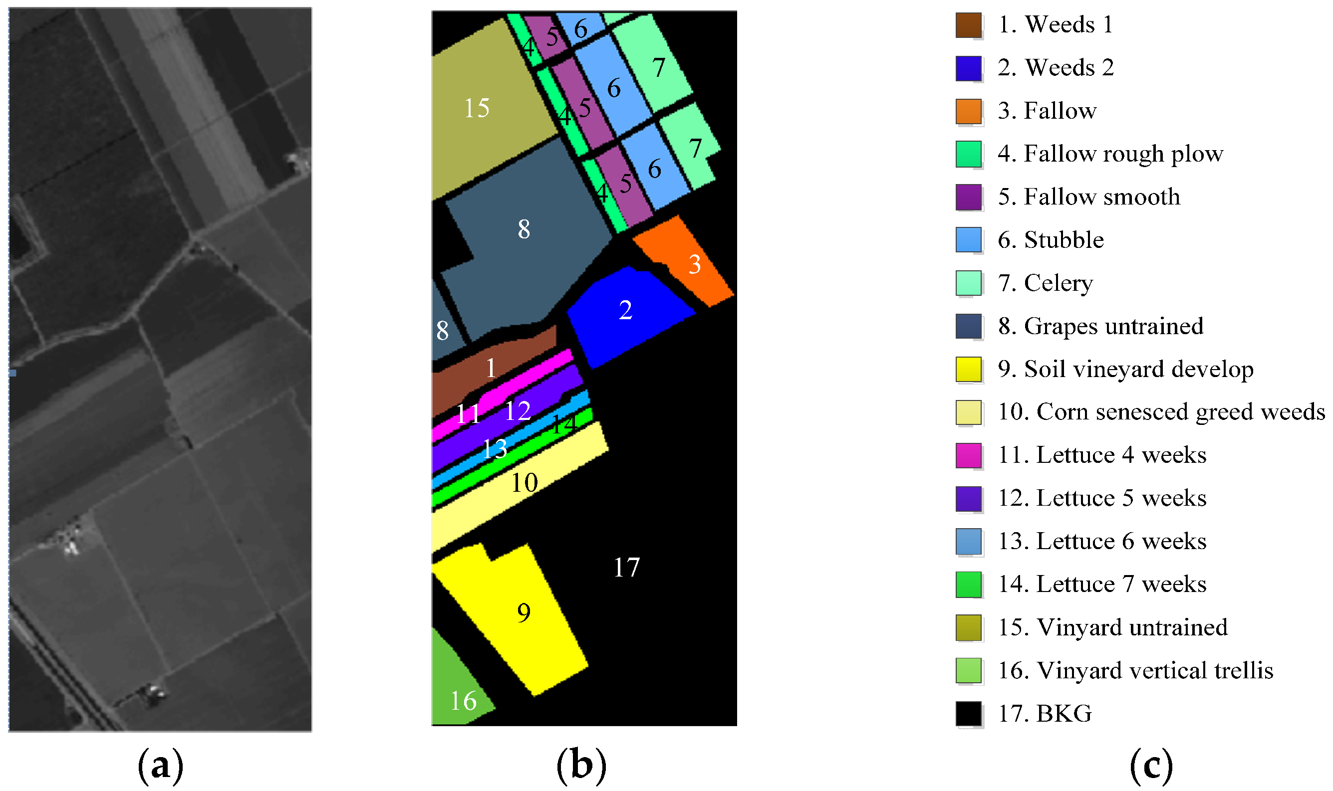 Remotesensing 16 00942 g003