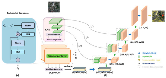 Remotesensing 16 00979 g005