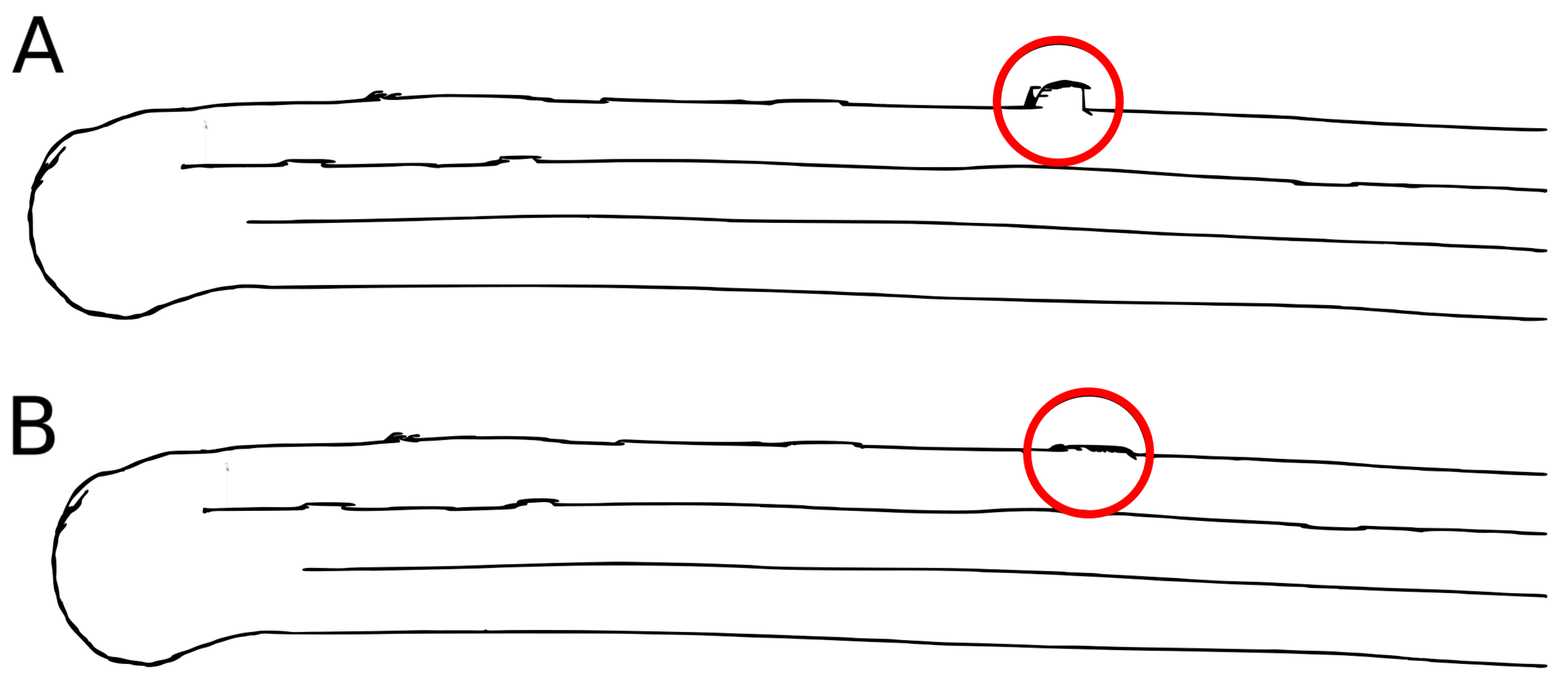 Remotesensing 16 00985 g020