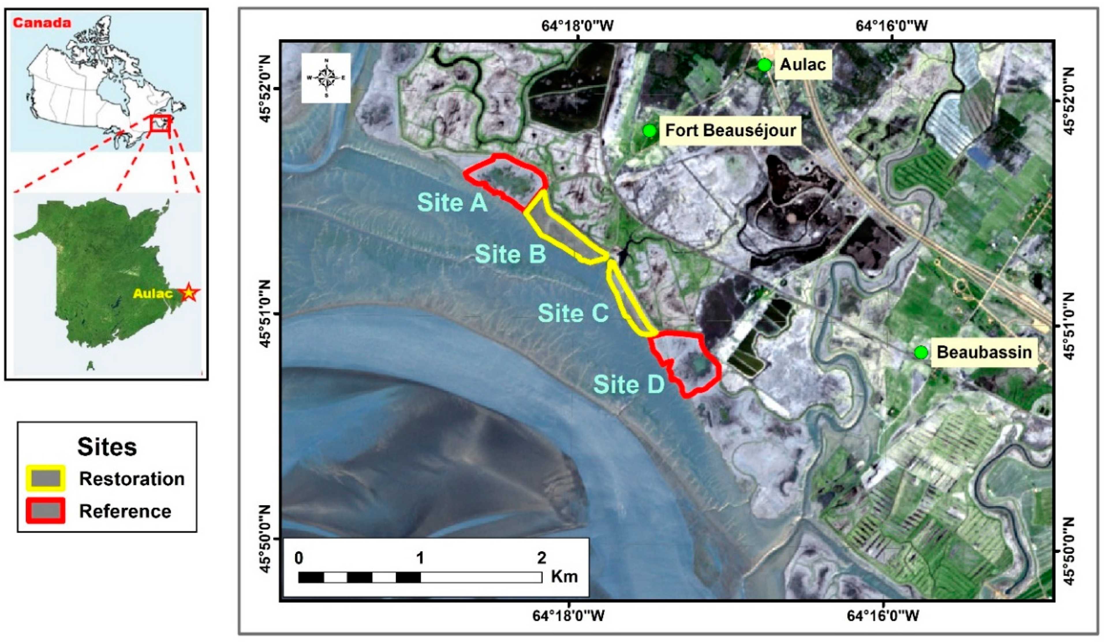 Remotesensing 16 01049 g001