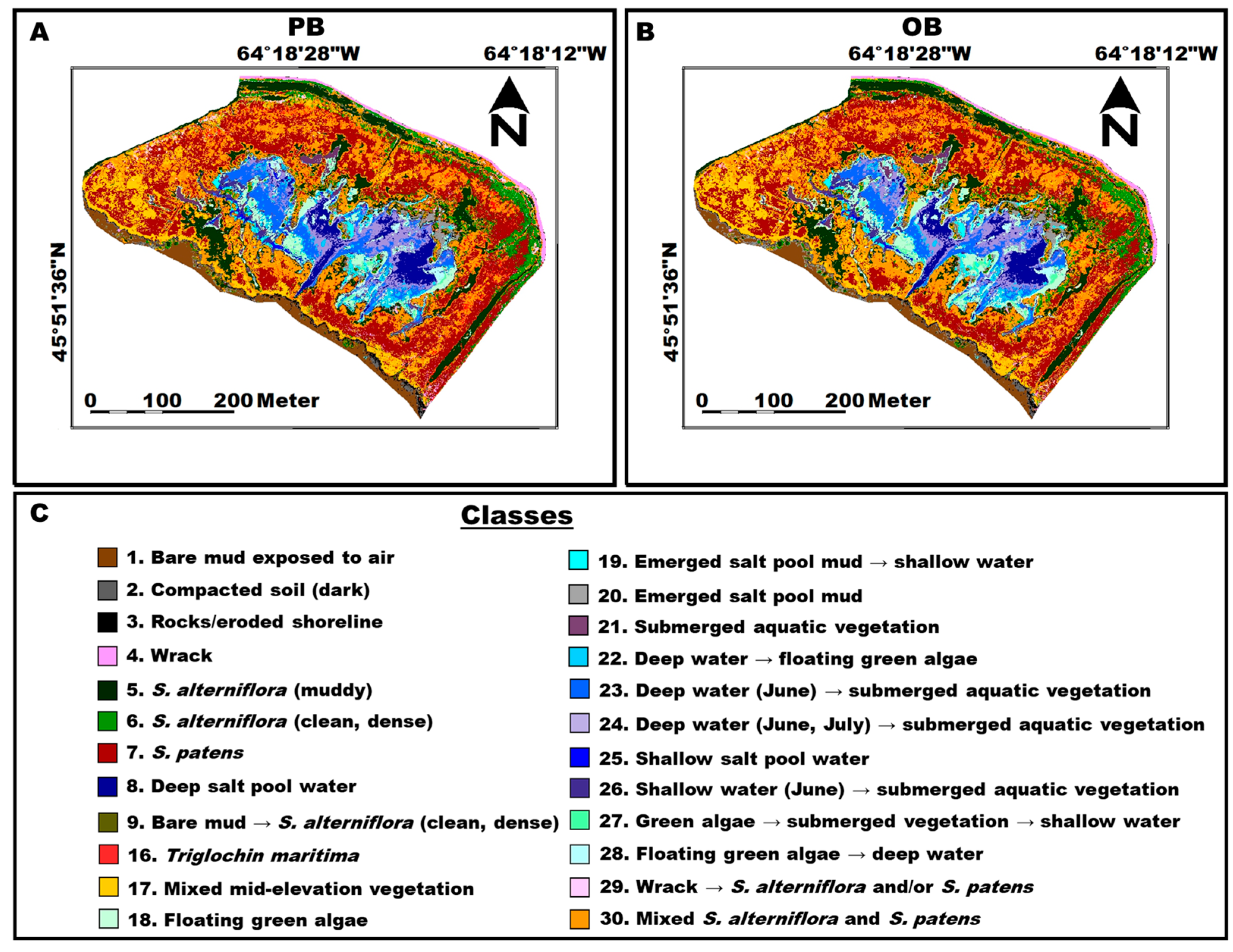 Remotesensing 16 01049 g005