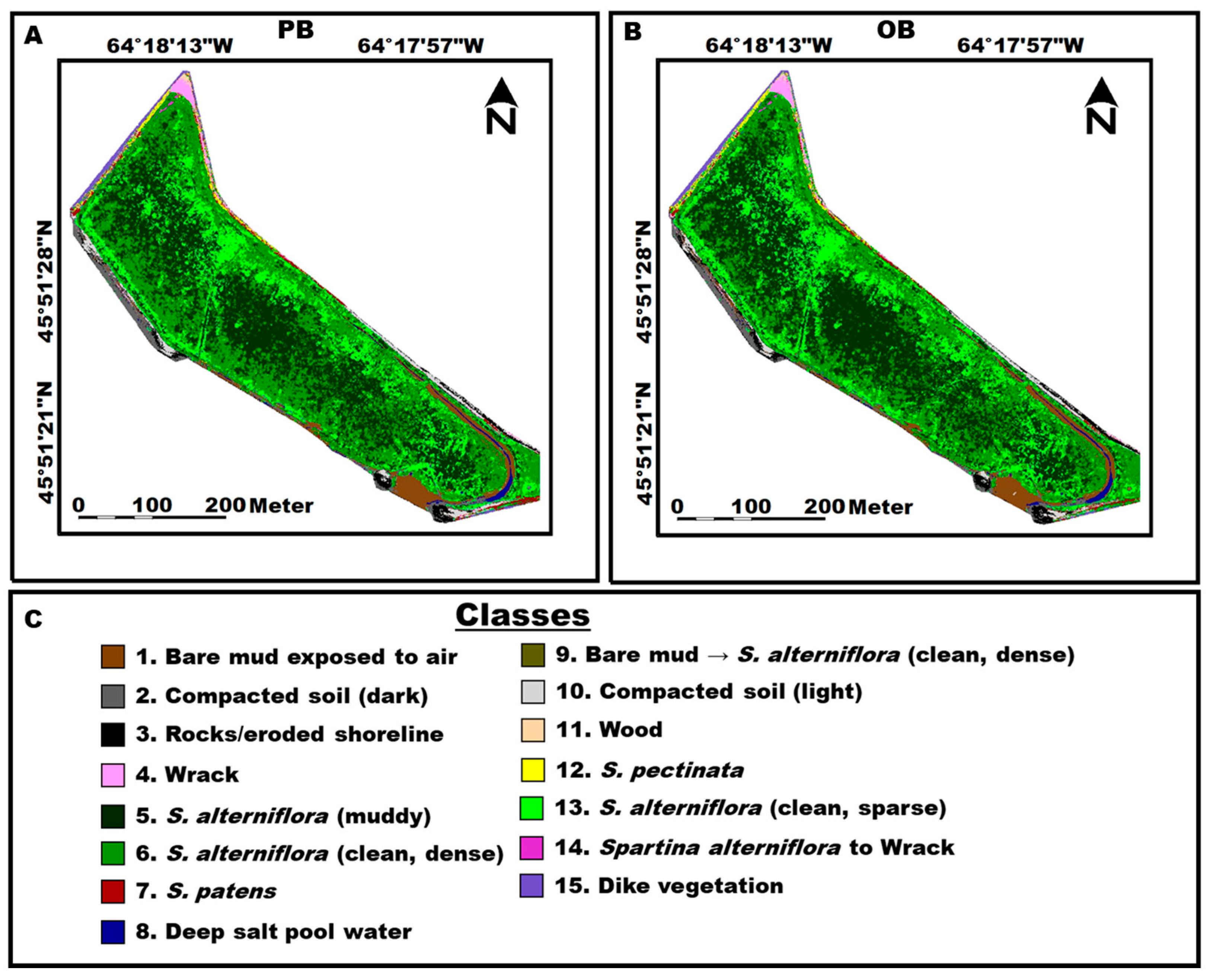Remotesensing 16 01049 g006
