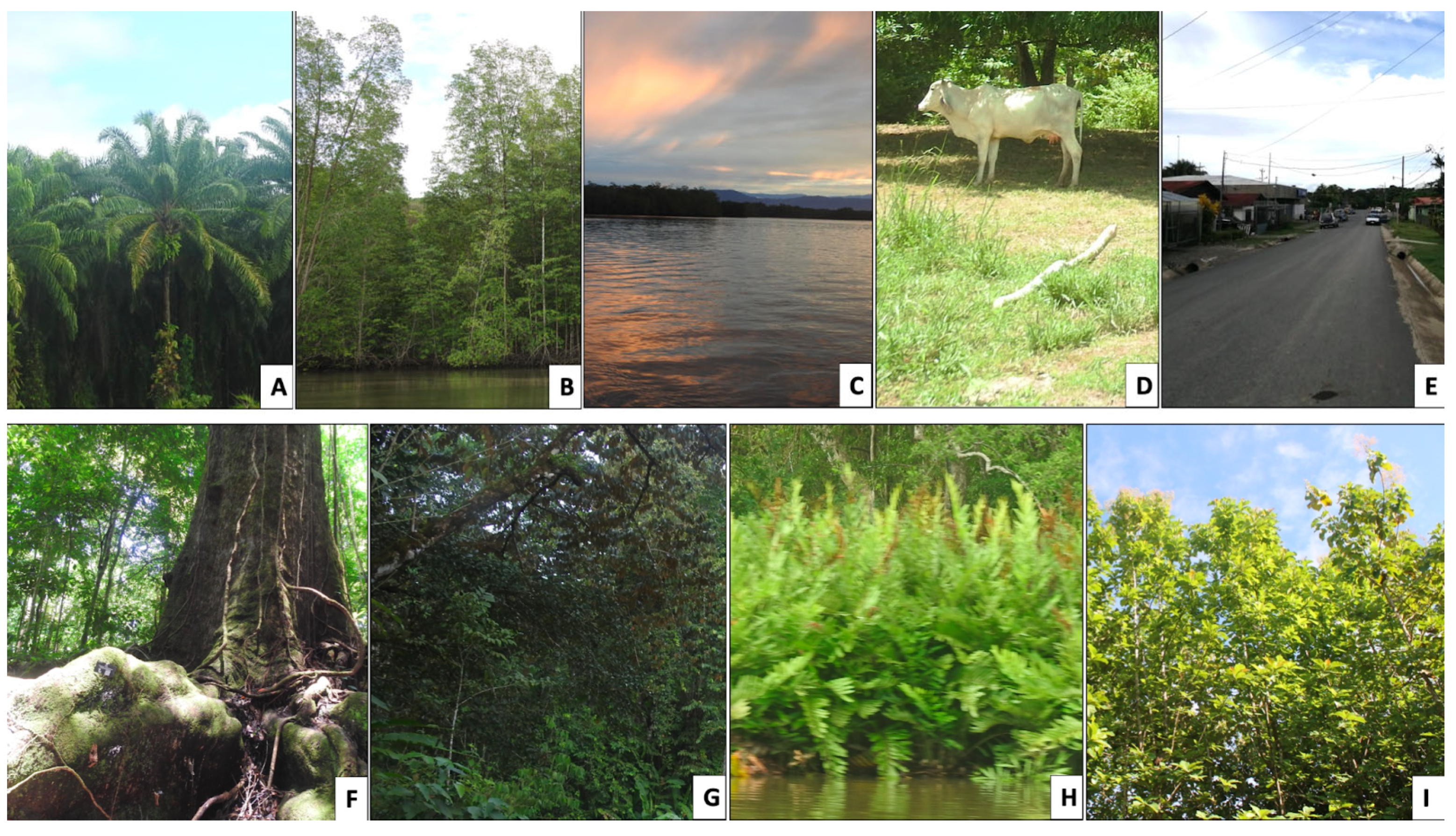 Remotesensing 16 01088 g002