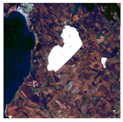 Remotesensing 16 01092 i001