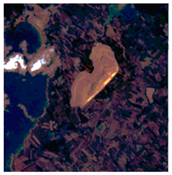 Remotesensing 16 01092 i003