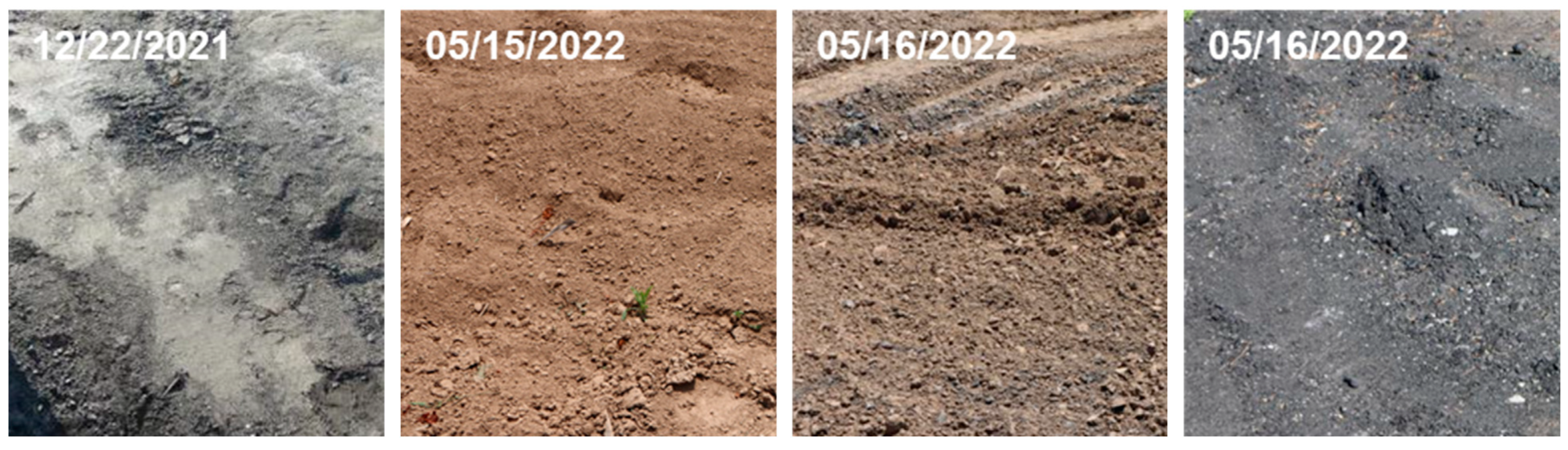 Remotesensing 16 01129 g004