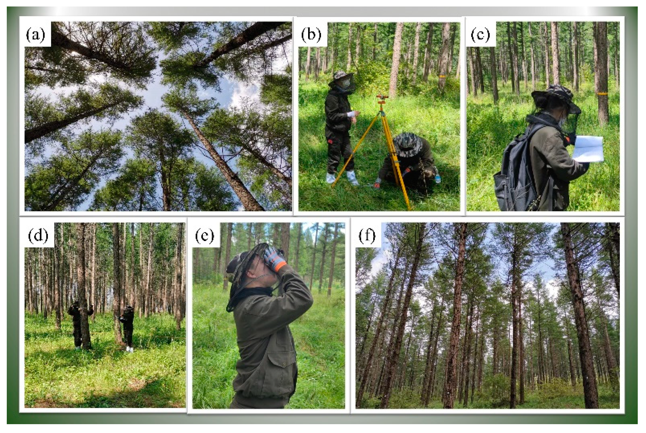 Remotesensing 16 01137 g0a3