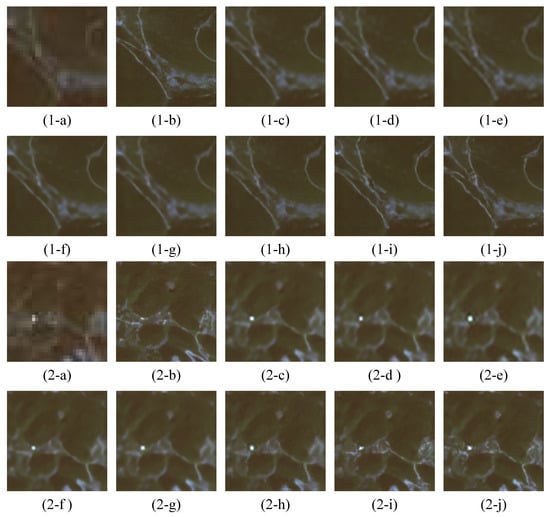 Remotesensing 16 01219 g0a1