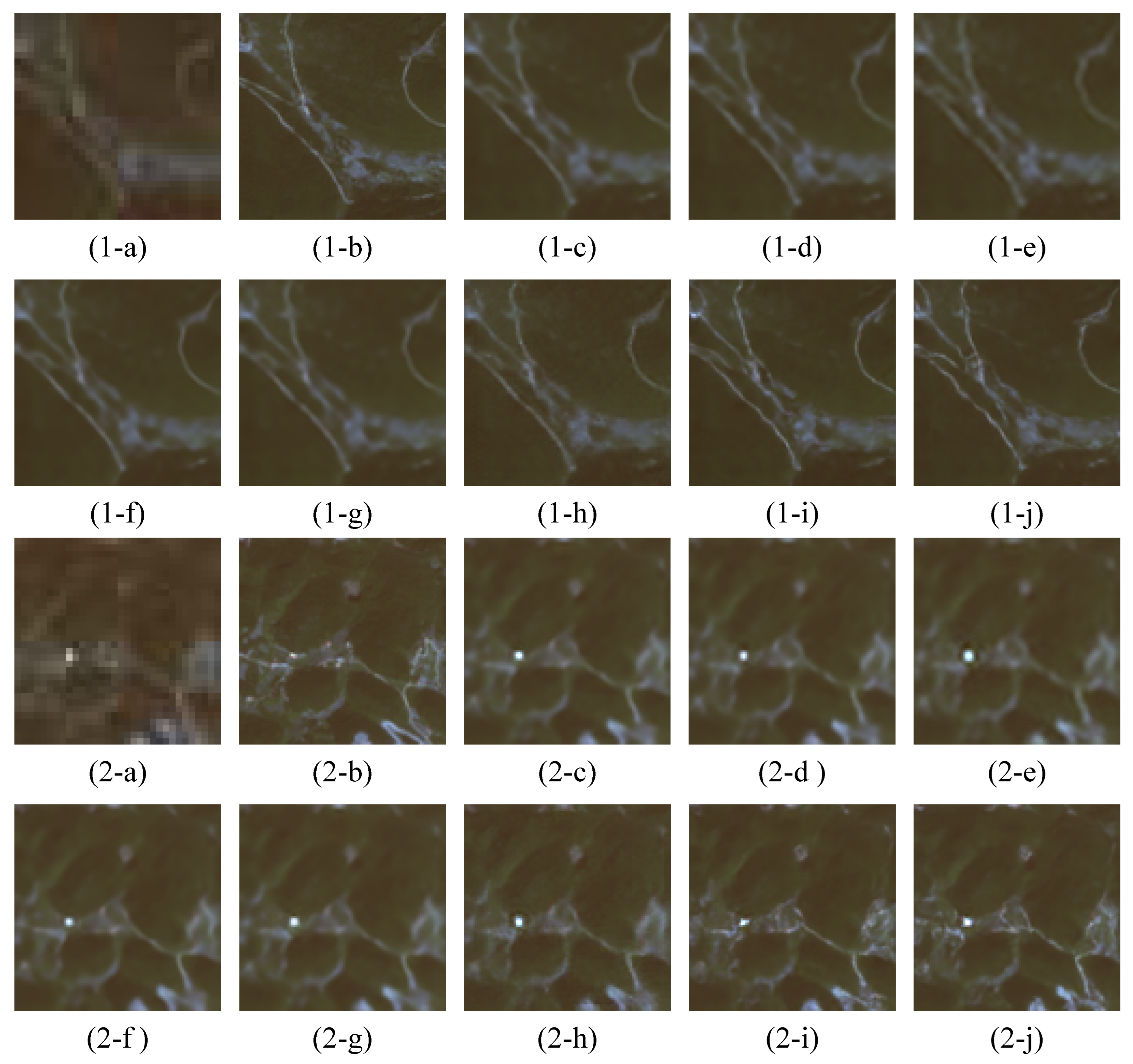 Remotesensing 16 01219 g0a1