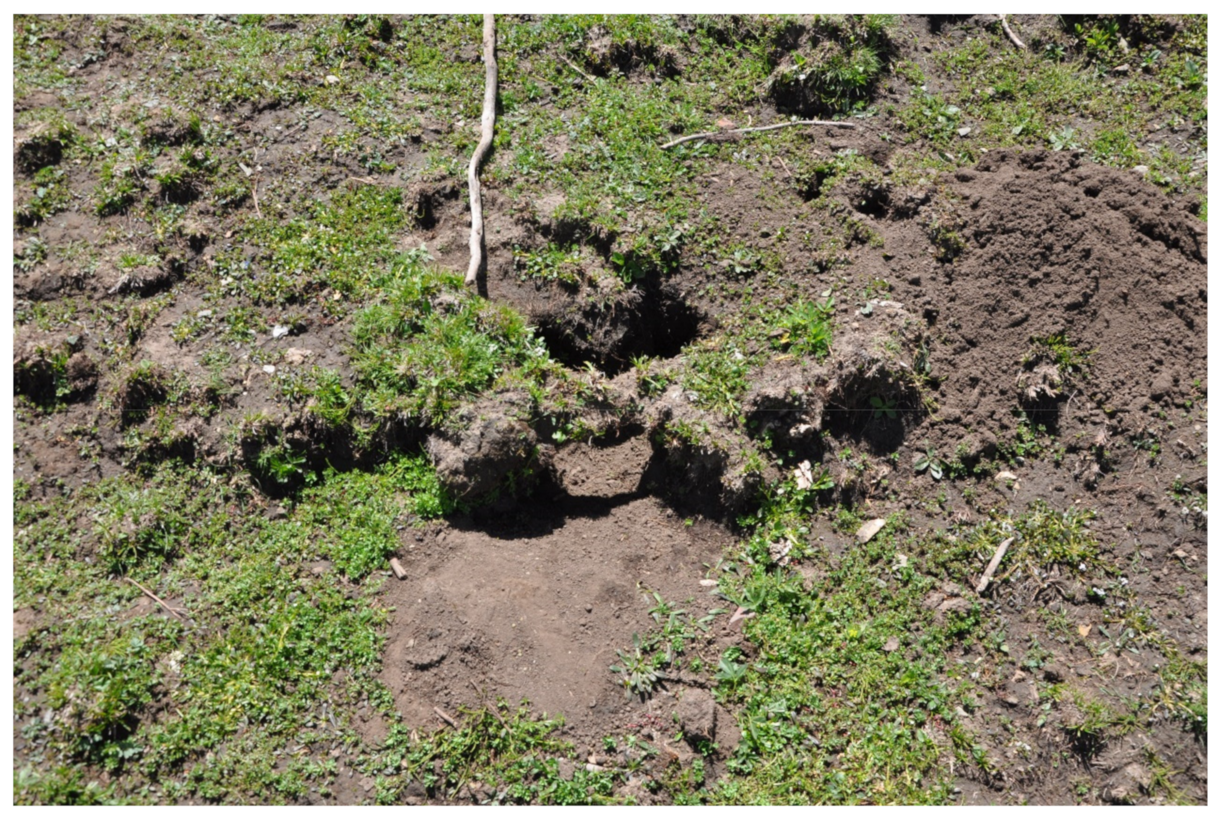 Remotesensing 16 01222 g008