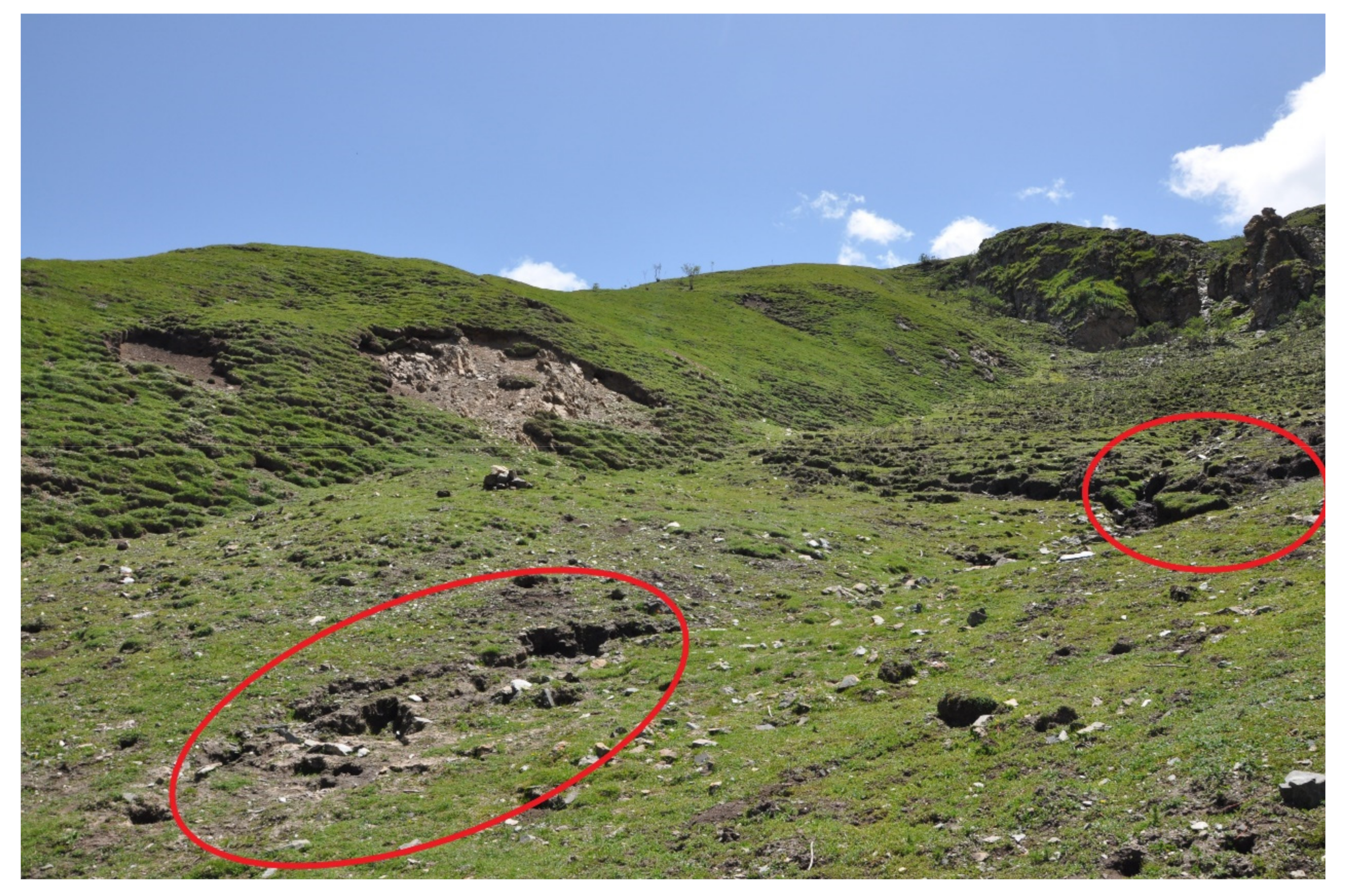 Remotesensing 16 01222 g009