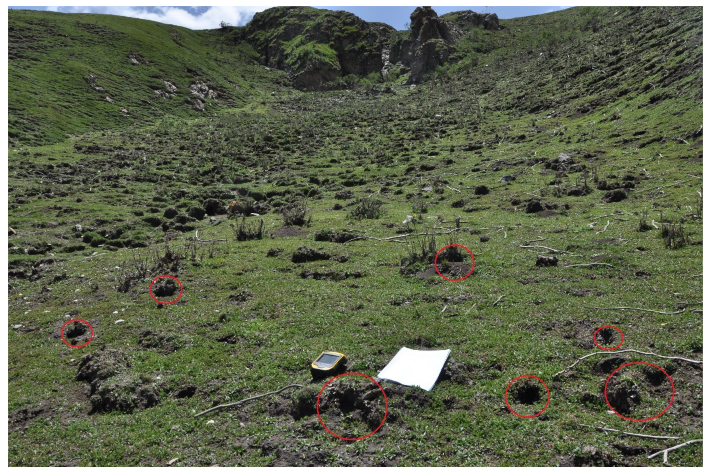 Remotesensing 16 01222 g010