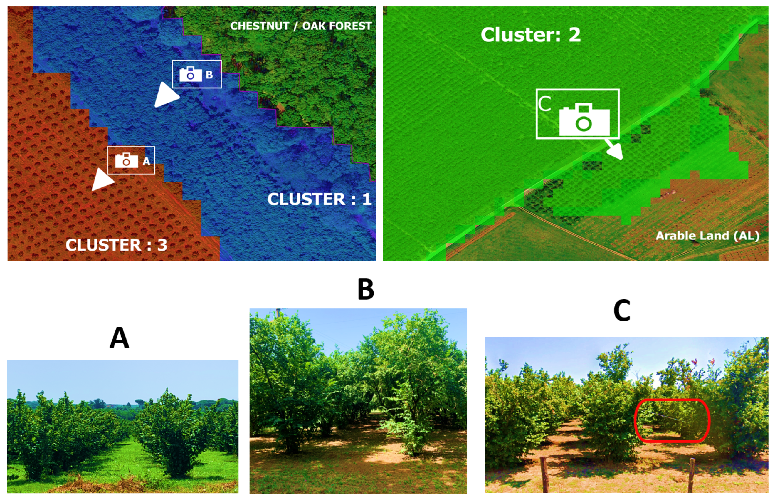Remotesensing 16 01227 g021 Remotesensing 16 01227 g021