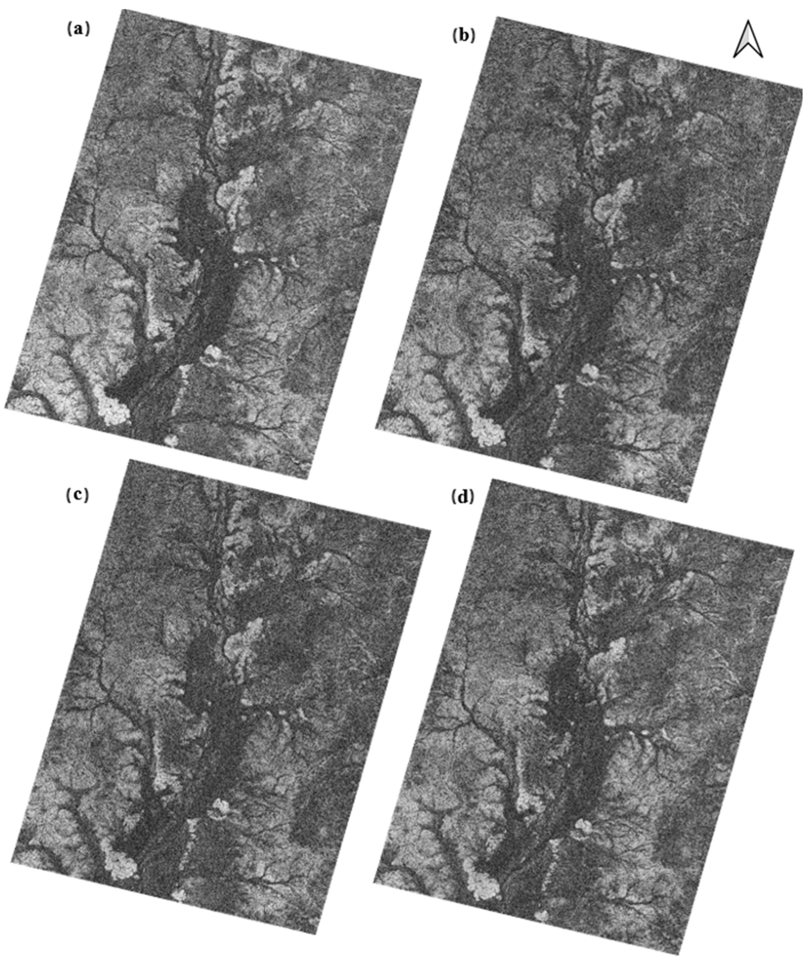 Remotesensing 16 01263 g009