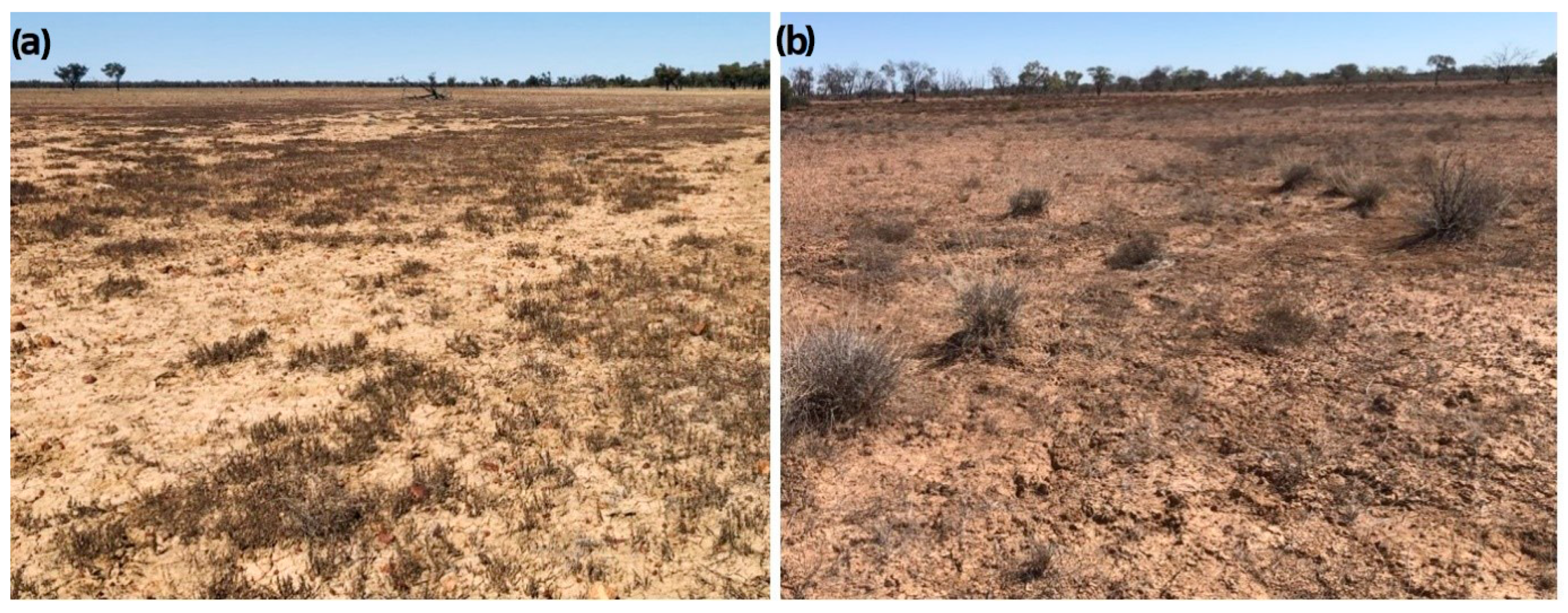 Remotesensing 16 01263 g013