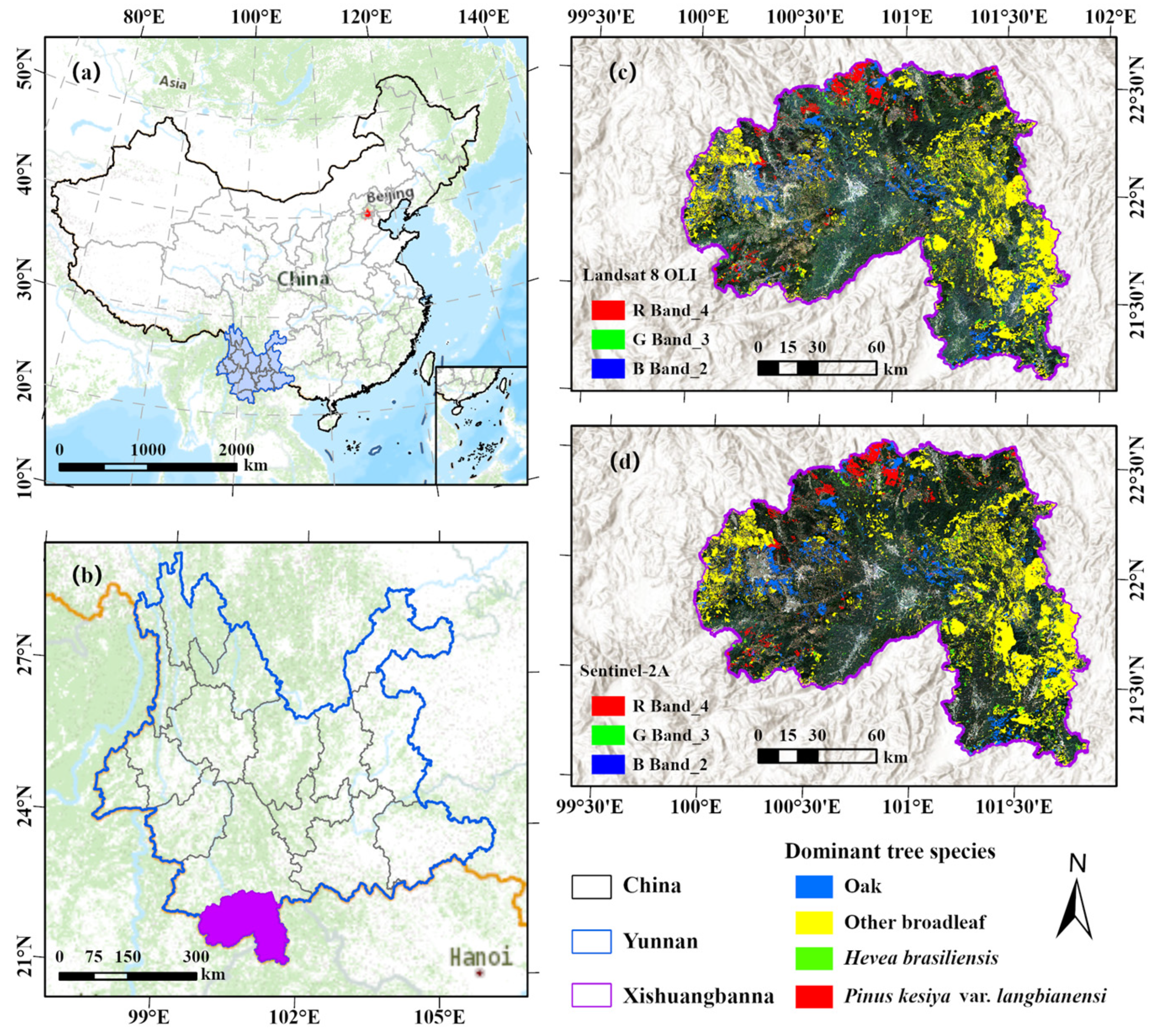 Remotesensing 16 01276 g002 Remotesensing 16 01276 g002