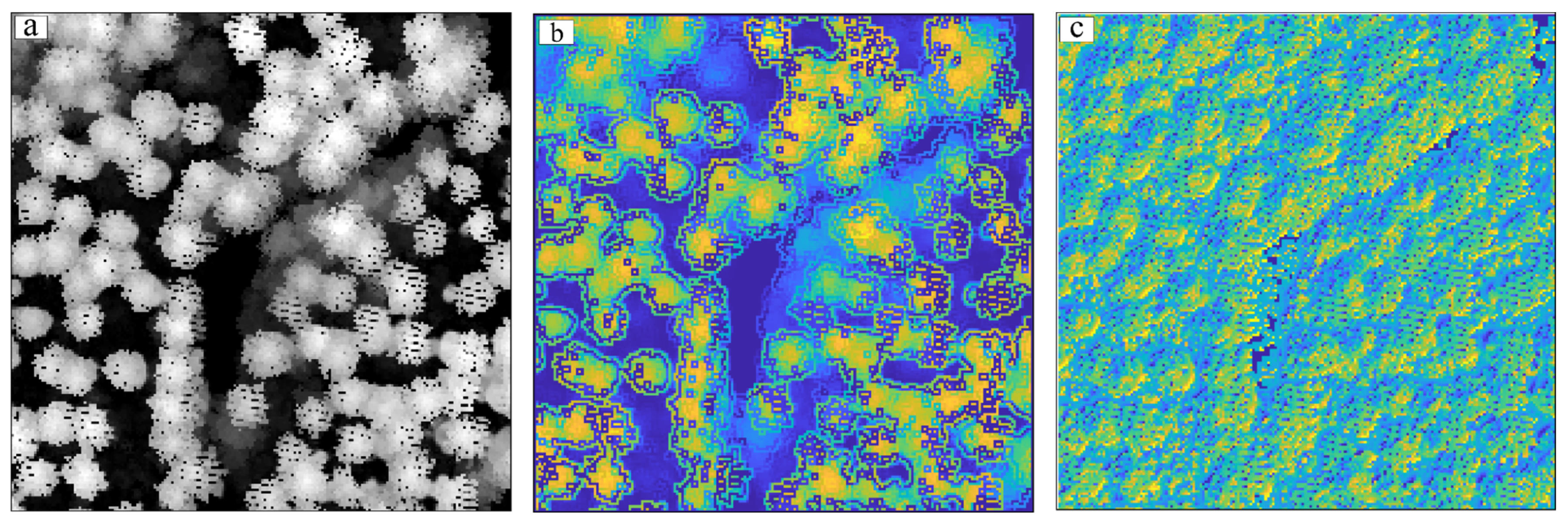 Remotesensing 16 01304 g012