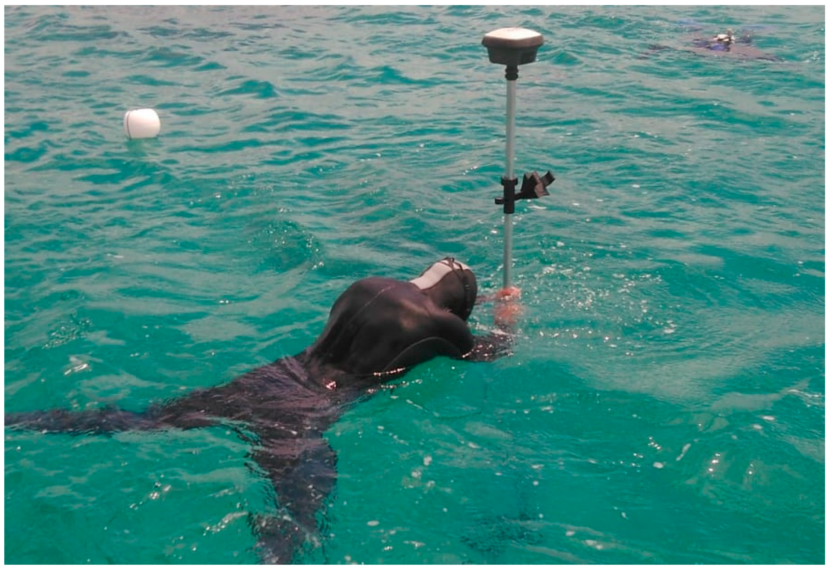 Remotesensing 16 01313 g009