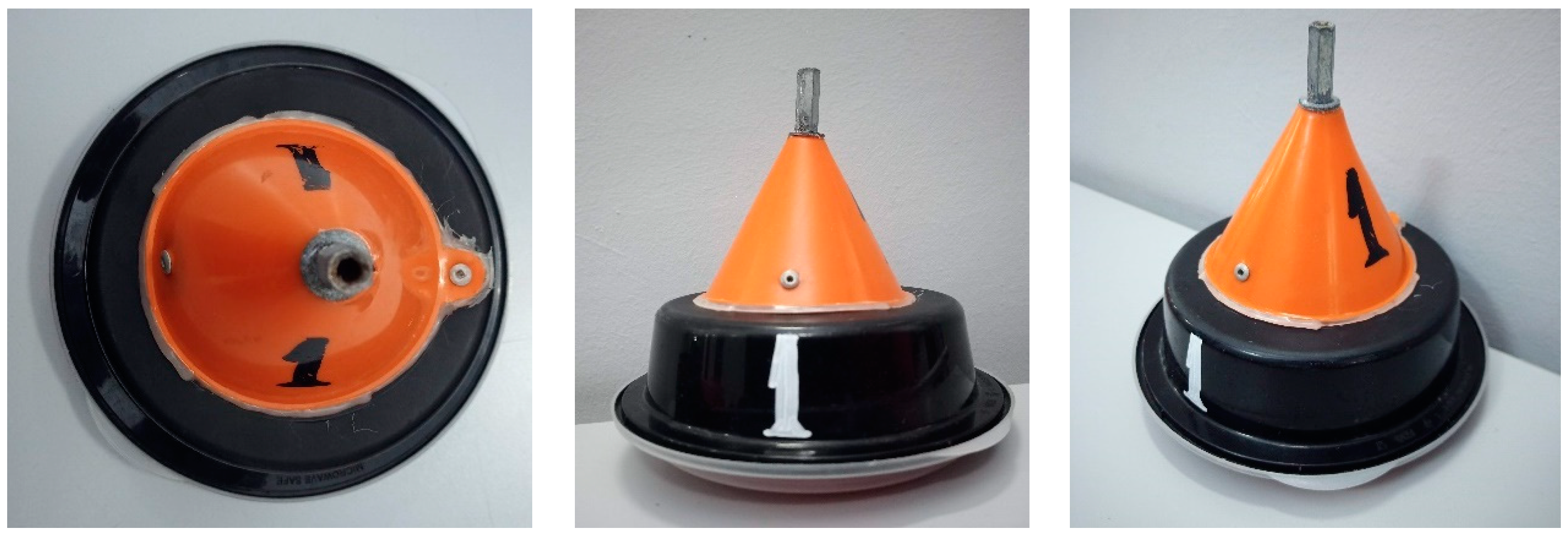 Remotesensing 16 01313 g010