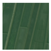 Remotesensing 16 01372 i010