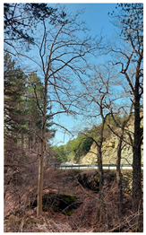 Remotesensing 16 01373 i003