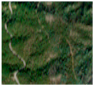 Remotesensing 16 01373 i006