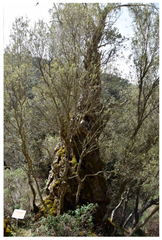 Remotesensing 16 01373 i009