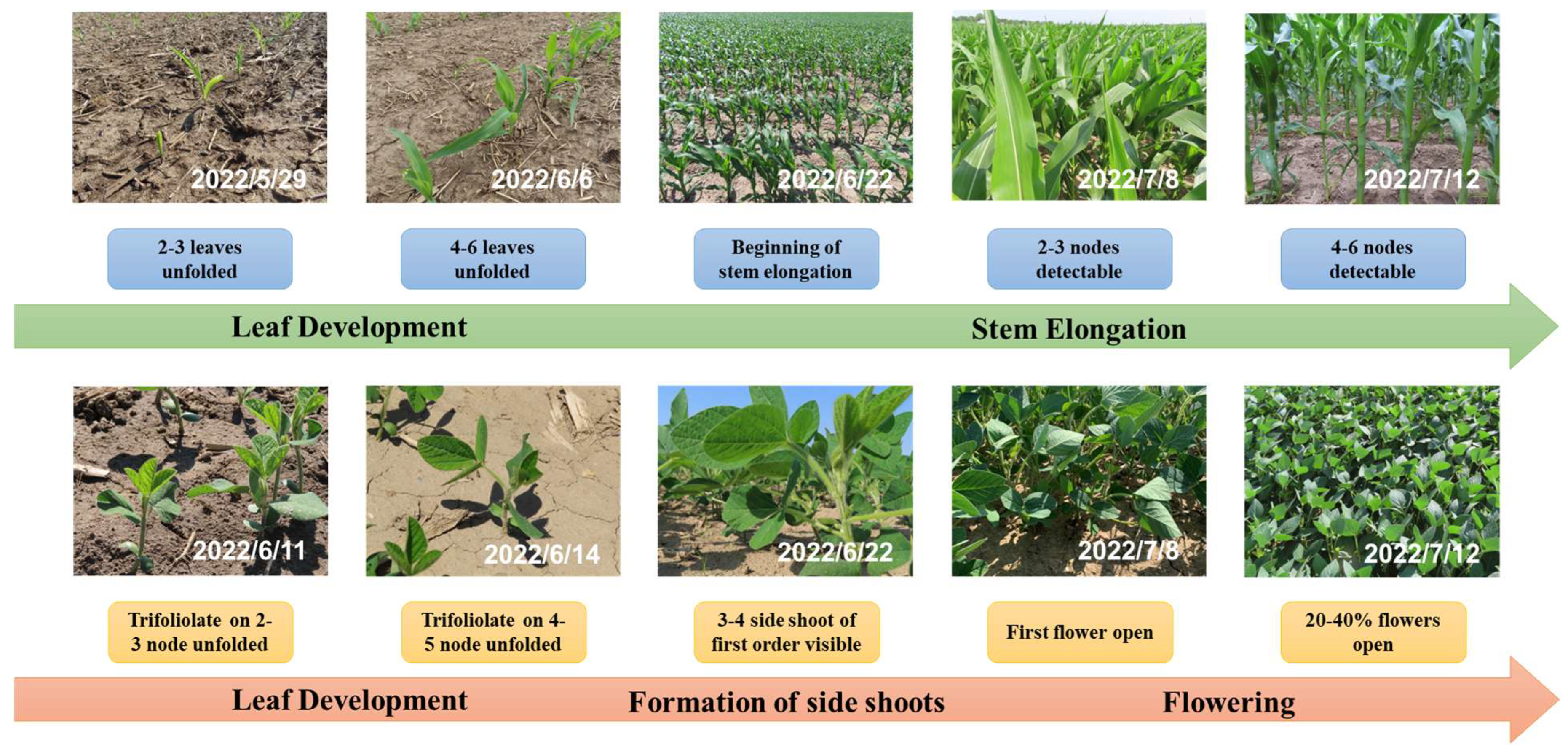 Remotesensing 16 01376 g003