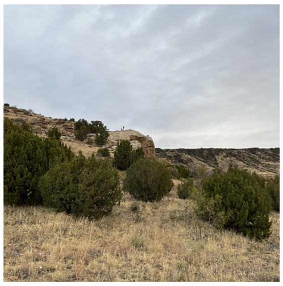 Remotesensing 16 01418 g004