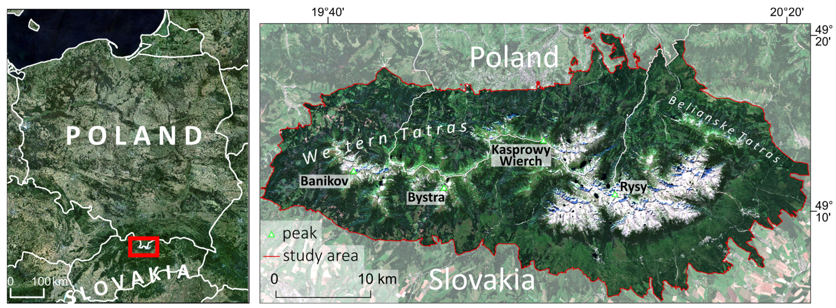 Combining Multitemporal Optical and Radar Satellite Data for Mapping ...