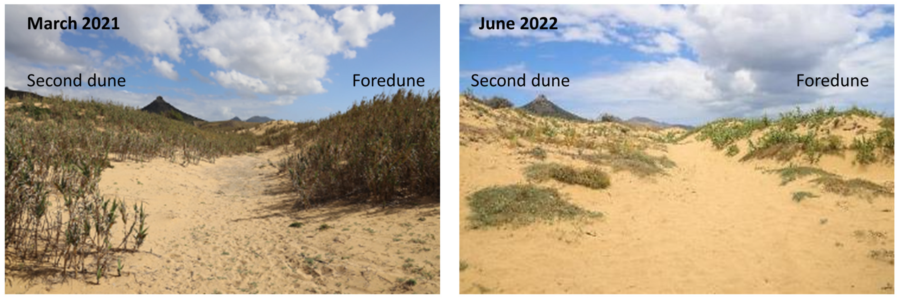 Remotesensing 16 01487 g002