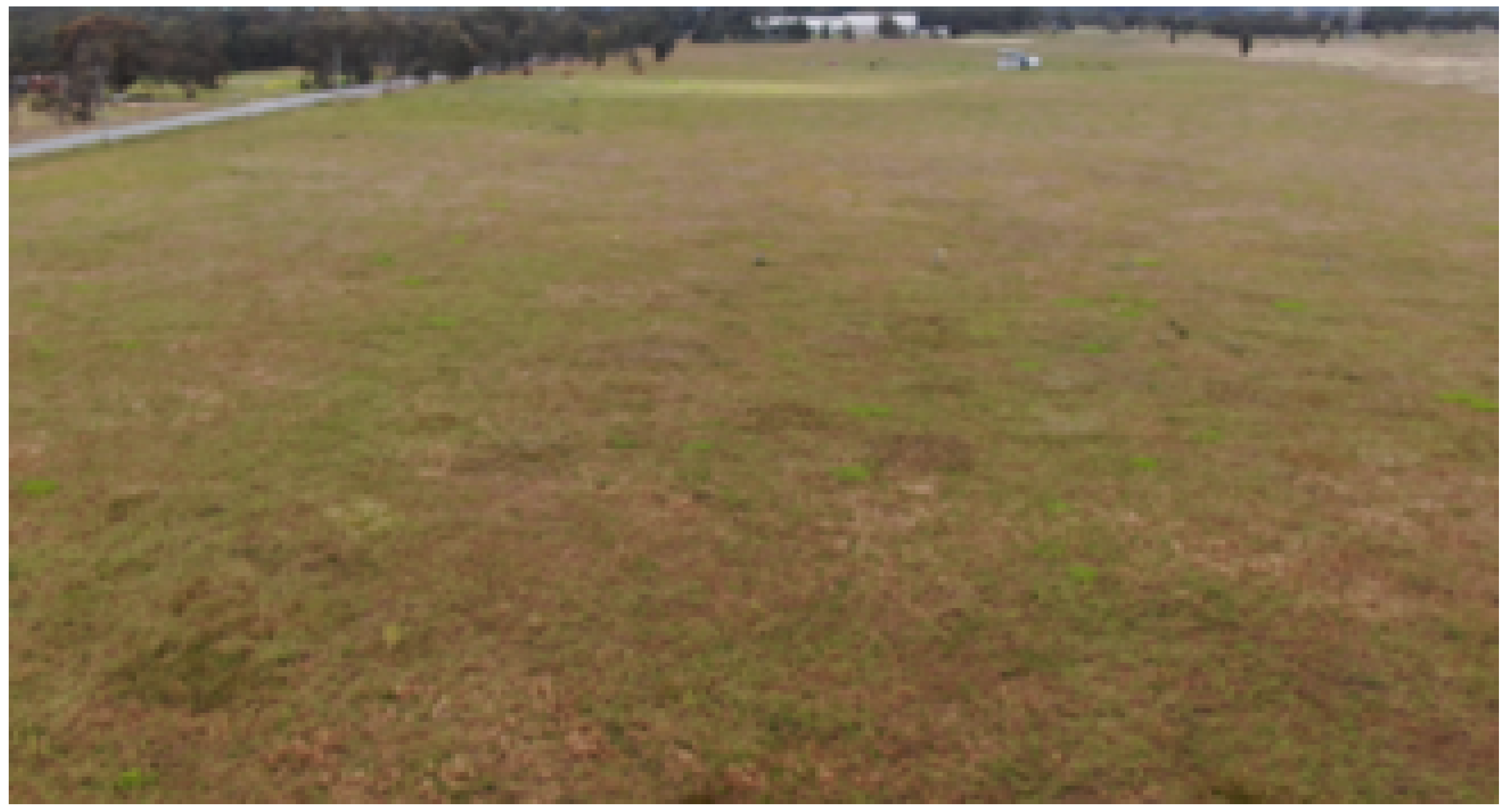 Remotesensing 16 01492 g006