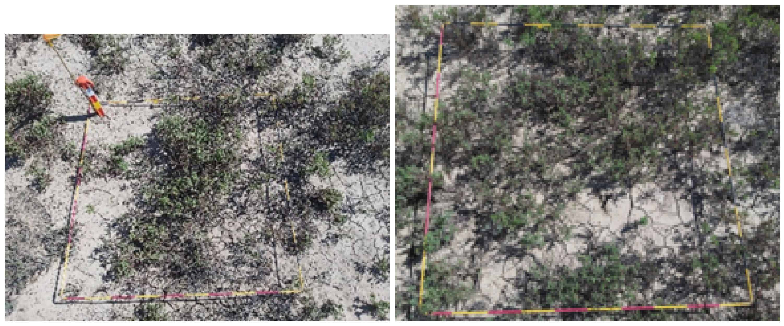 Remotesensing 16 01492 g008