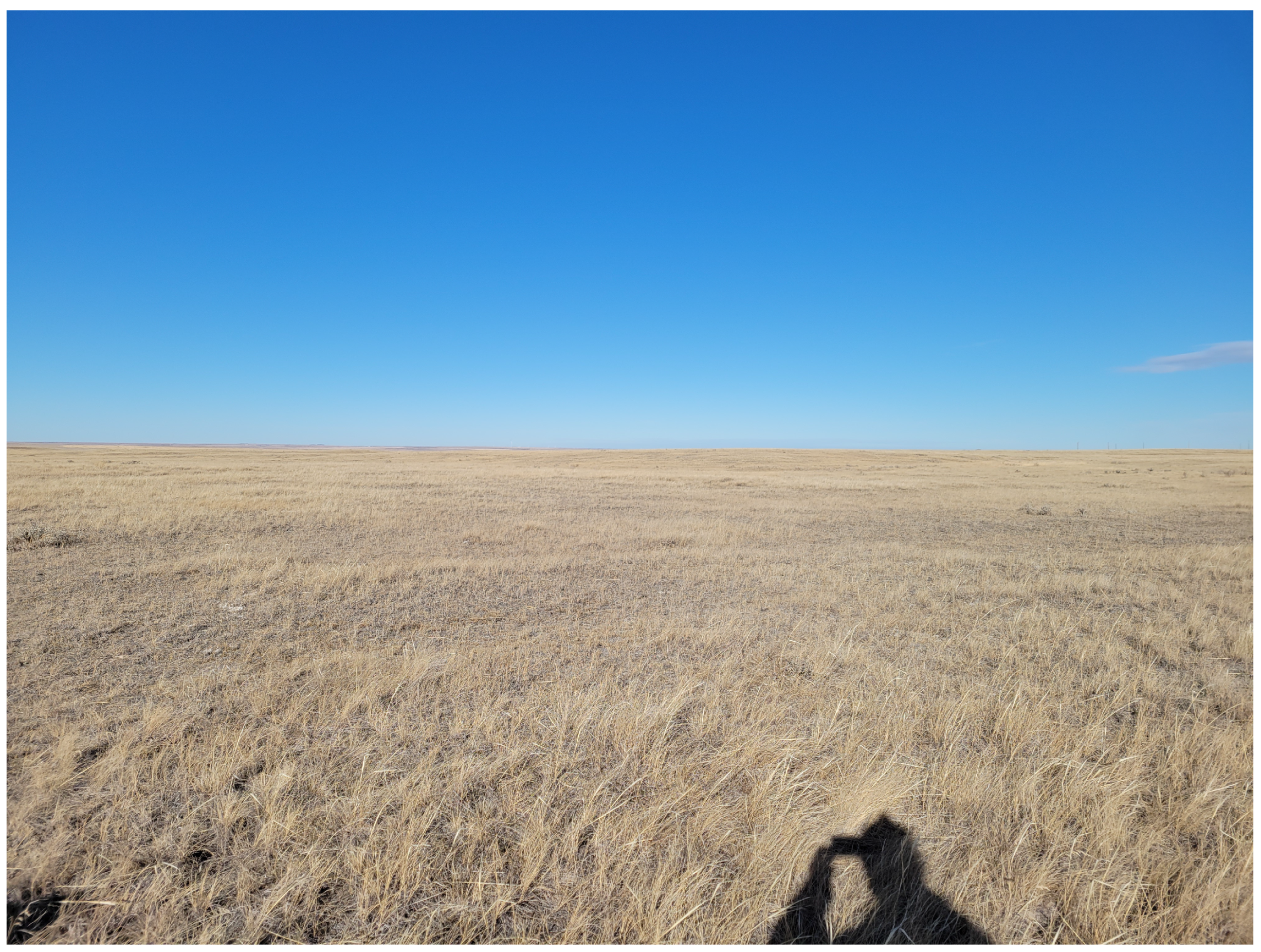 Remotesensing 16 01492 g009