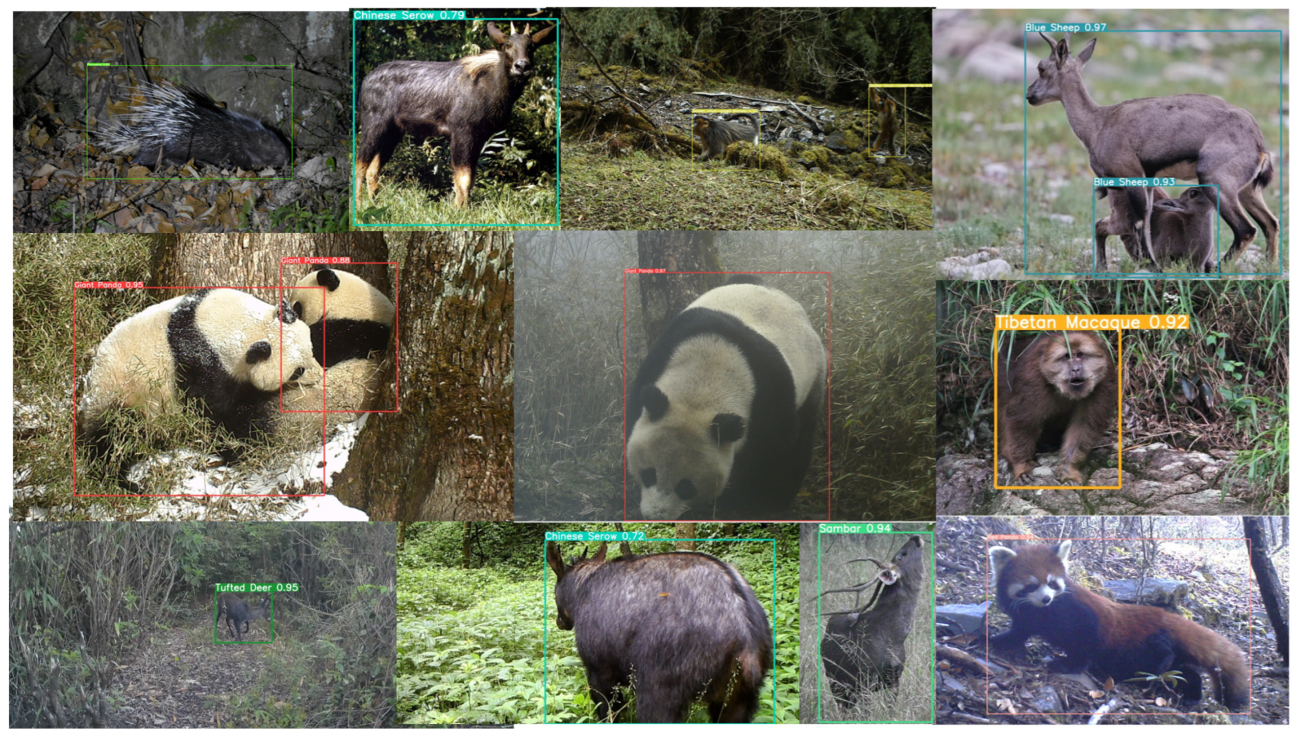 Remotesensing 16 01535 g007