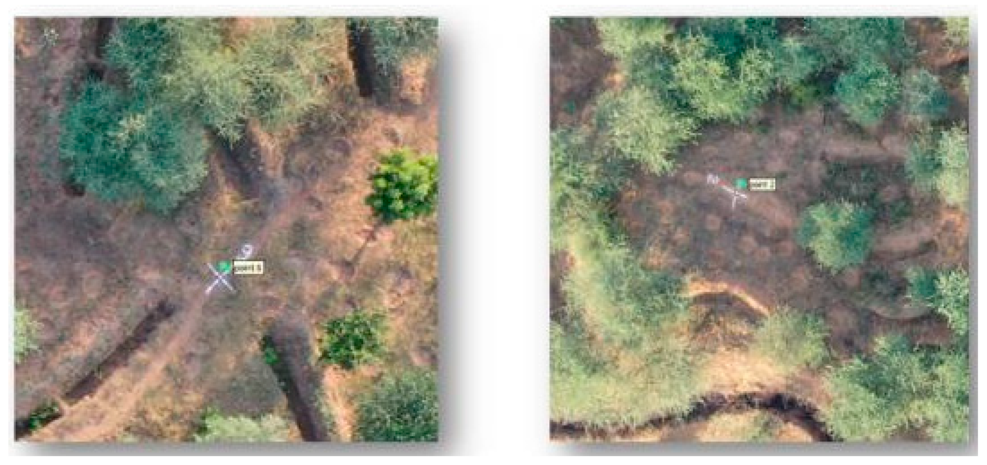 Remotesensing 16 01554 g003