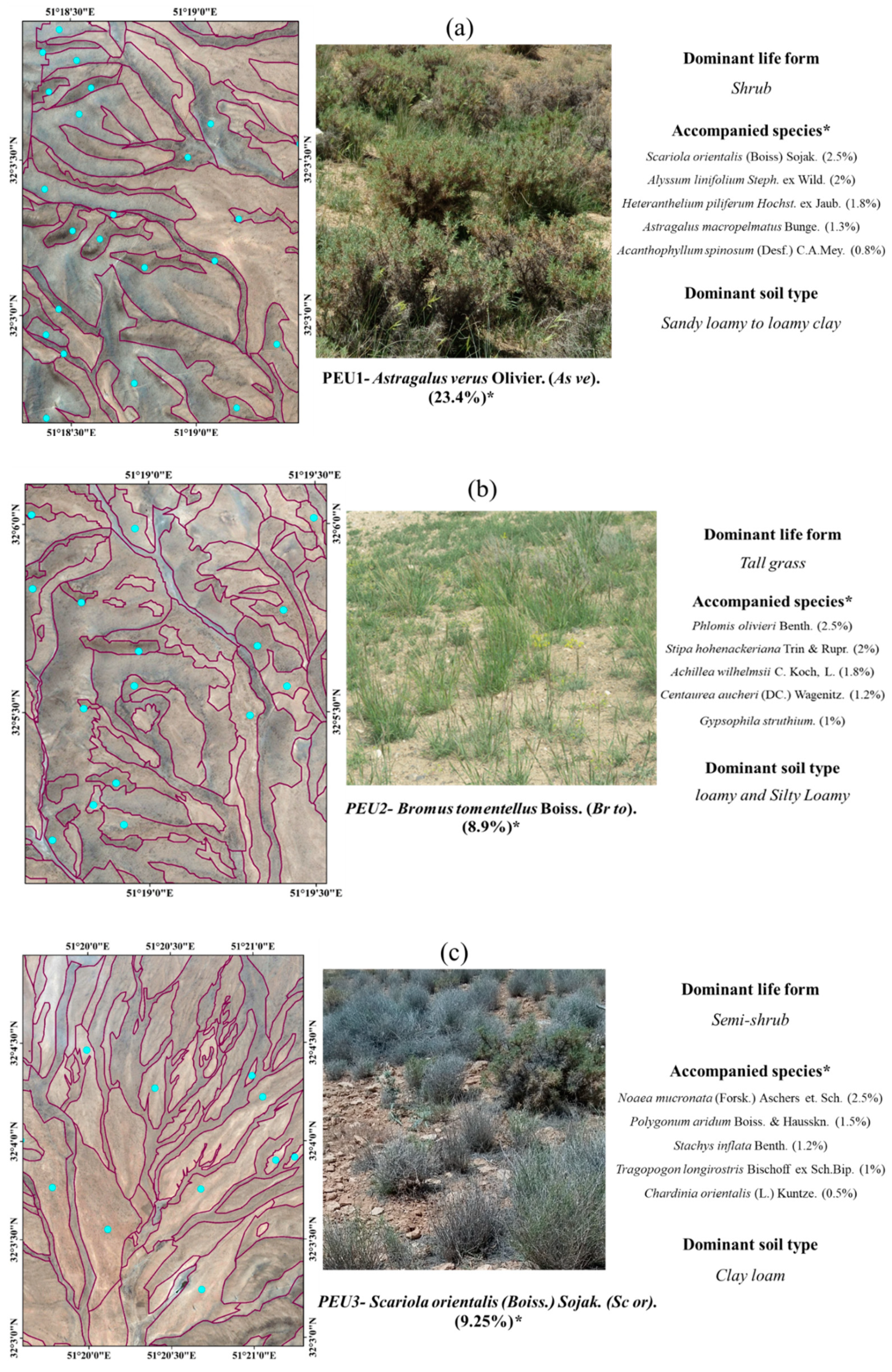 Remotesensing 16 01612 g002a