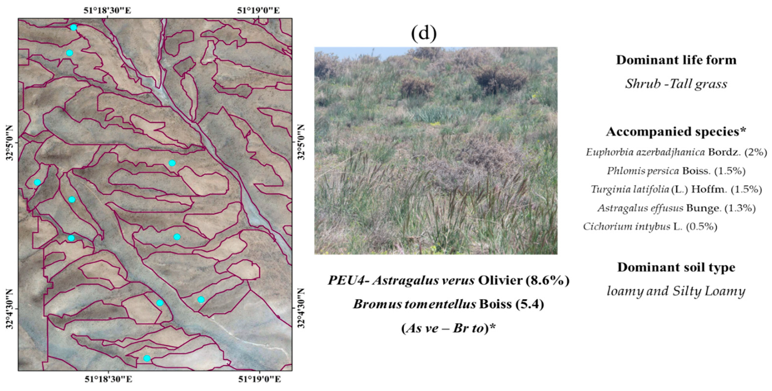 Remotesensing 16 01612 g002b