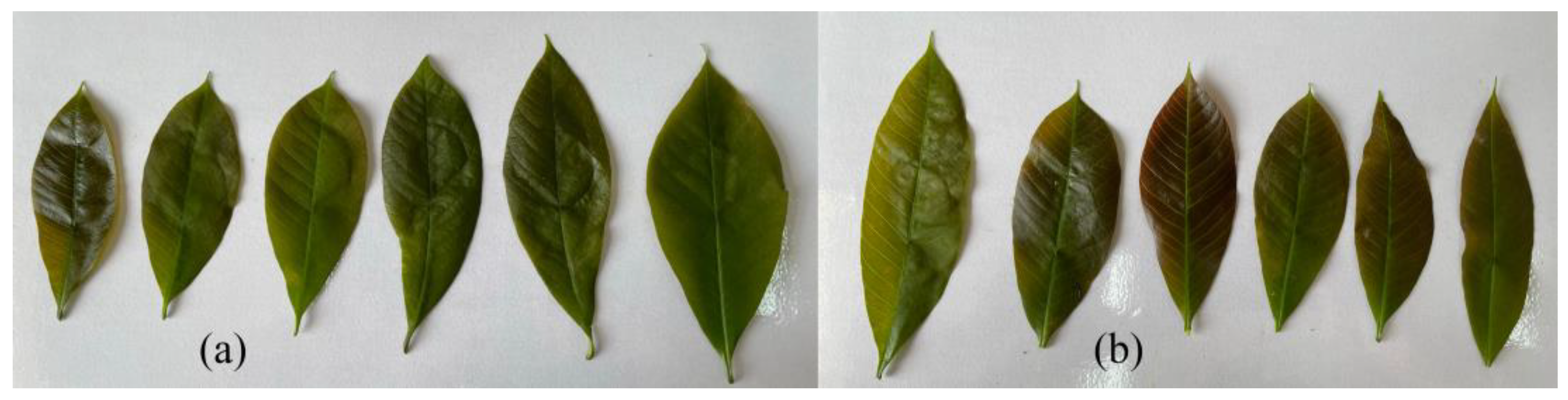 Remotesensing 16 01634 g001