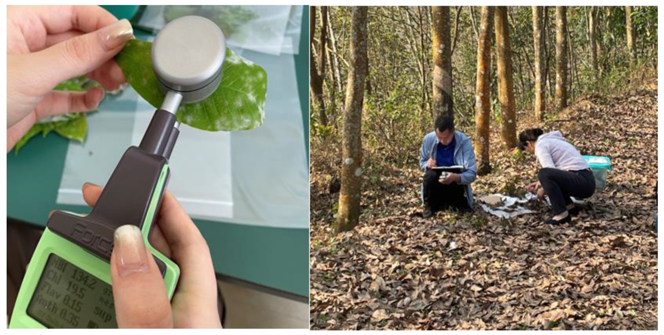 Remotesensing 16 01634 g002