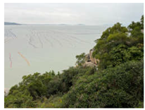 Remotesensing 16 01652 i002