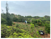 Remotesensing 16 01652 i004