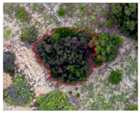 Remotesensing 16 01652 i007