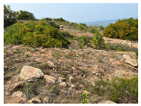 Remotesensing 16 01652 i008