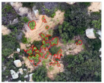 Remotesensing 16 01652 i009